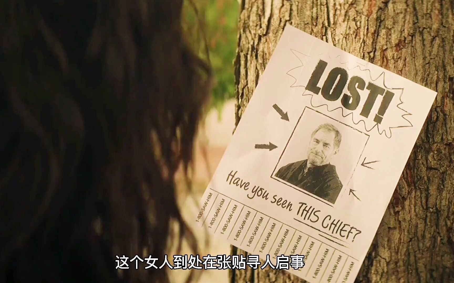 废柴英雄，一夜间成为奥运焦点的简单介绍